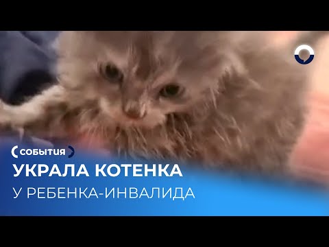 Женщина забрала котенка у девочки-инвалида на первой прогулке