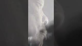 April 1959, John Lee Hooker recorded TUPELO BLUES.