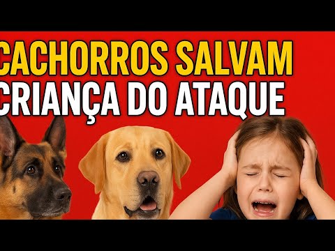 CACHORROS IMPEDem ABUSO contra MENINA de 10 ANOS no AM! Adolescente é APREENDIDO após TENTATIVA
