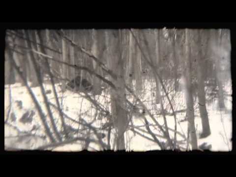 Drip-133 - ViewFound