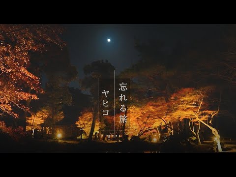 新潟県弥彦村　観光PR動画～忘れる旅、ヤヒコ～（秋）