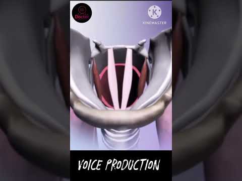 Sound Production , How our sound Produce !? animatedvideo #medicalstudent #doctor