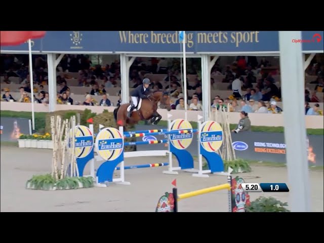 The half-sister of the grandmother of this embryo is the CSI 1.55m jumping mare Qiara de Kalvarie with rider Gilles Thomas.