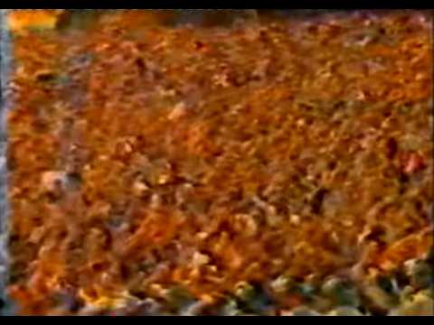 Nogorom Suite op. 5 (Clip)