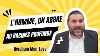 L’Homme , Un Arbre Au Racines Profonde !!! ( Likoutey Moharan Tiniana 10)