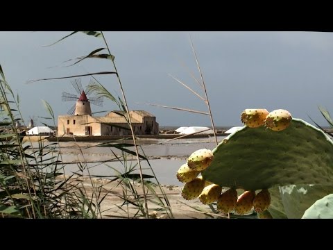 Saline Trapani