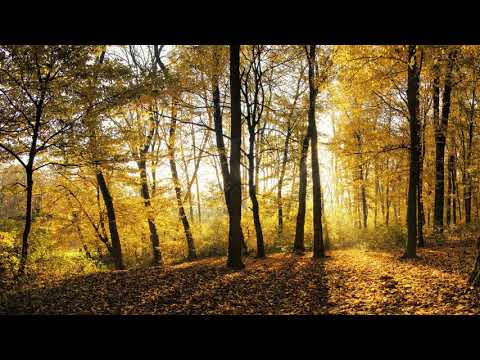 Eddie Bitar feat. Michele Adamson — Perception Of Time (Original Mix)