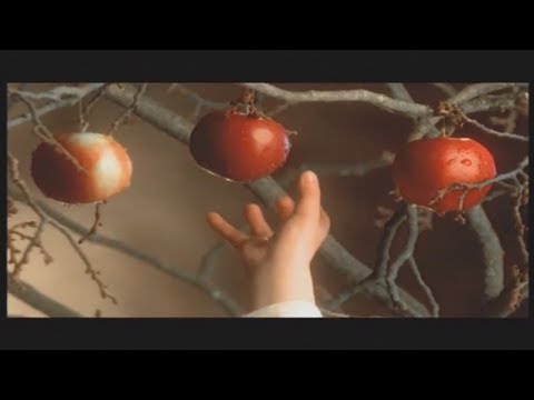 Runrig - An Ubhal As Airde (Official Music Video)