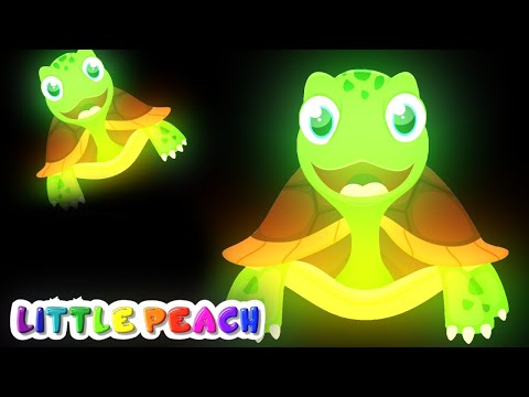 Make a Baby STOP CRYING in 5 SECONDS | Baby Sensory | Calming Music