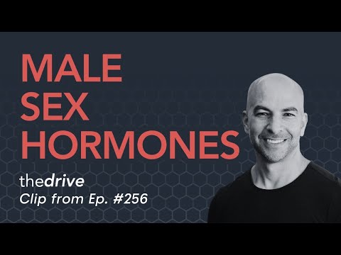Male sex hormone system: how it works, testosterone, low T symptoms, TRT, and more | Peter Attia