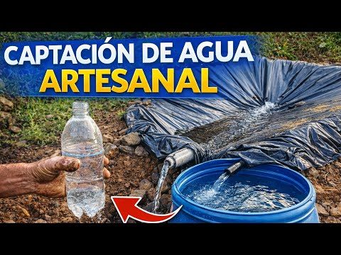 Video producto