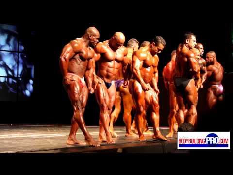 212 Class Bodybuilders - 2013 Toronto Pro