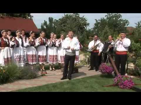 Viorel Leric-Fata mea (Viorel Leric Official)