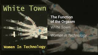 White Town- The Function Of The Orgasm