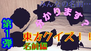 東方茶番劇＃２   東方にわか対策？！「東方クイズをやってみようぜ⭐️」《第"１"弾‼️》【名前編】難易度→Easy