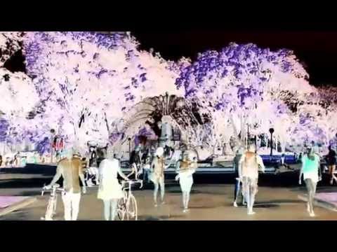 PETE CAMPBELL - Nest for you