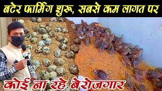 #QUAIL_FARM । बटेर पालन की �