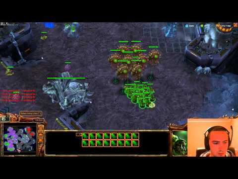 ROOTT1 vs DIMAGA  HoTS 08.02.2013