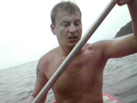 forfiter exotyczny ( Alligator Attack in Brazil)