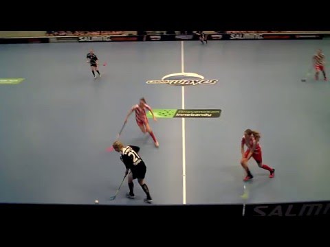 Damer Div. 2 160211 Lindås IBK - Pixbo Wallenstam IBF (3-4) HD Per2