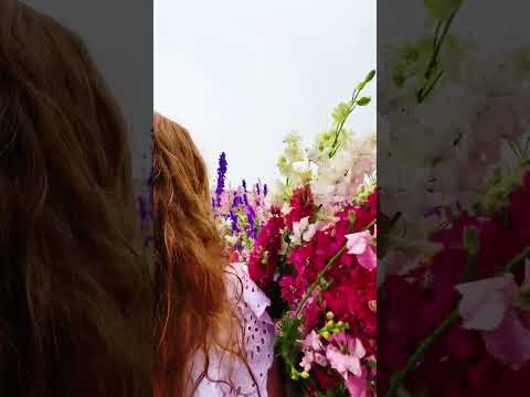 #goodmorning 💜🌸 #flowers 🌷 #nature #beauty 😍 #باقة_ورد #صباح_الخير ✨🥀