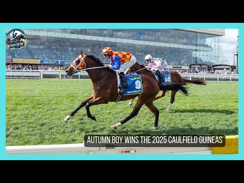 AUTUMN BOY wins the G1 Caulfield Guineas