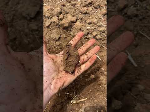 Sítio à Venda // Área total 43,58 hectares