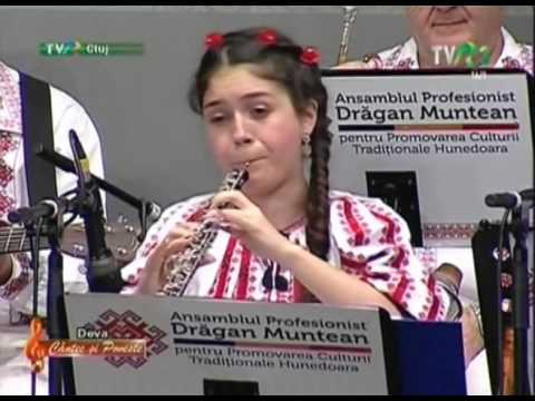 ANSAMBLULUI PROFESIONIST DRĂGAN MUNTEAN - SUITĂ IN MEMORIAM DRAGAN MUNTEAN