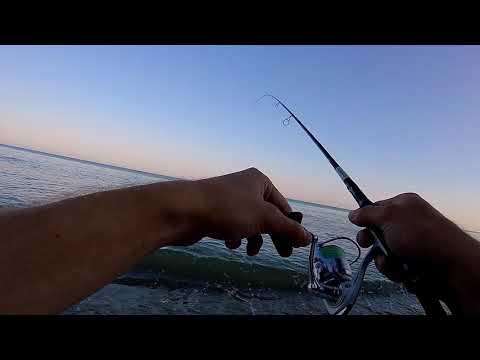 TDB-702UL 1-7 грамм