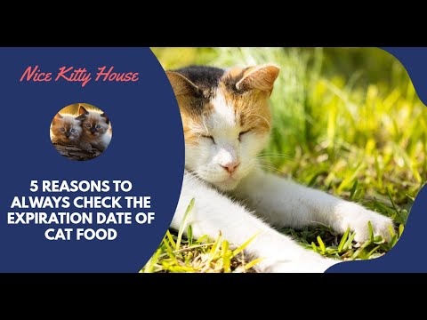 5 Reasons to Always Check the Expiration Date of Cat Food