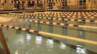 preview picture of video 'Carnegie Mellon Swim and Dive Crowdfunding 2014'