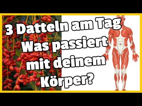 Entzündung der Hoden mit Prostatitis Gebärmutter und Prostata-Entzündung