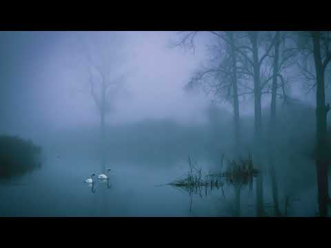 best of thenian │ DARK AMBIENT MIX