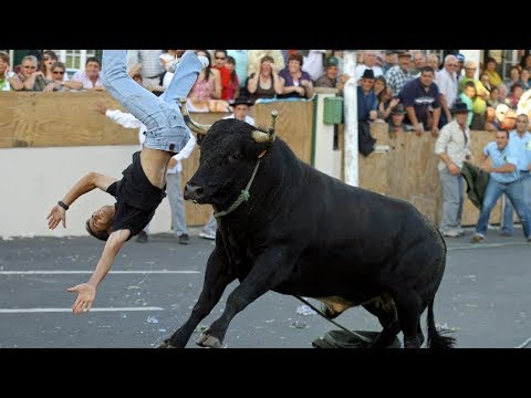 Funny videos | Bullfighting Festival #1 | Stupid people | Troll |Bull Fails| Try Not to Laugh | Fun