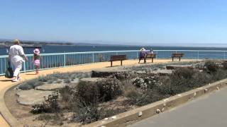 США 513: Видео-сочинение на тему "Как я провел выходной"