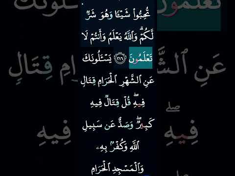 Page 34: Fighting is prescribed for you. #Surah_AlBaqarah #Quran #The_Quran