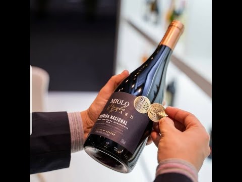 Adriano Miolo fala sobre o Touriga Nacional Single Vineyard