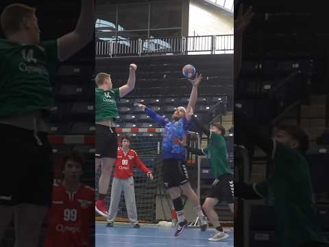 Professional USA handball highlights