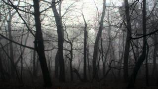 Wyoming -  Birds of Prey