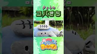 きょうのコバきち ショート動画【かくれんぼ】#コバきち #コバこ #コバじろう #わくわく魚っちんぐ #おとこぎコバンザメ #コバンザメ #子供向け #きょうのコバきち #vlog #かくれんぼ