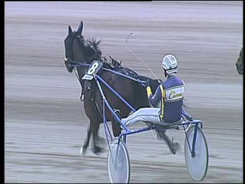 Trotto 14/10/2016 - 4ª corsa