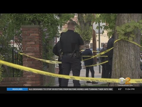 Man in custody after deadly shooting of Queens resident Anna Torres