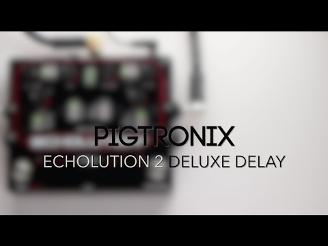 Pigtronix Echolution 2 Deluxe Delay Guitar Effects Pedal Demo