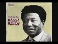 Muddy Waters- When The Eagle Flies - tremelodios Muddy Waters- When The Eagle Flies