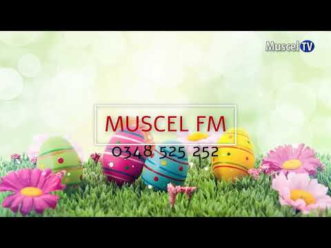 Jurnal MUSCEL TV 19.04.2022 Iepurașul vine la Muscel Media