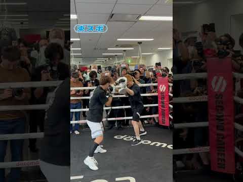 #井上尚弥 アフマダリエフ戦へ向け公開練習を実施 #ミット打ち #東スポ #boxing #shorts #naoyainoue
