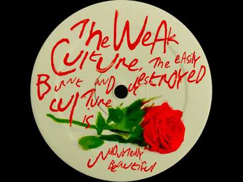 ThugWidow - Invisible Shell Of Energy