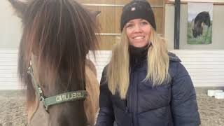 Træning af hestens core muskulatur med Cecilie Langvad 2 del