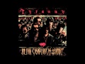 Crunch Punch by The Voidz