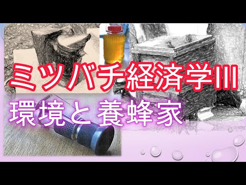 経済学科 ミツバチ経済学 Ⅲ／環境と養蜂家--養蜂地代表／山崎亮一／東京農工大学農業経済学講義2024／日英字幕付き／Beekeeping economics Ⅲ／Ryoichi Yamazaki